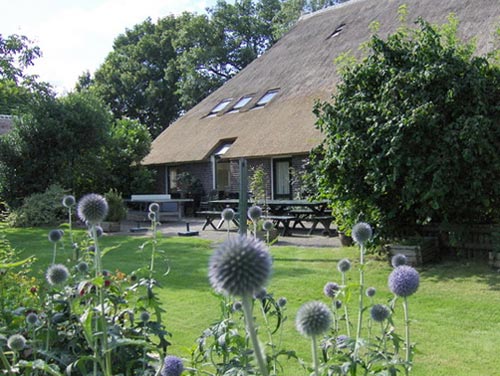 Zicht op de tuin met het terras